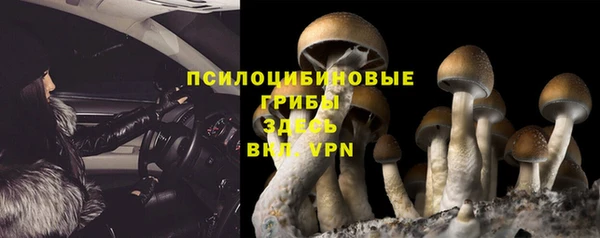скорость Волосово