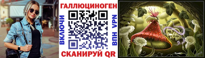 Купить  Конаково  Галлюциногенные грибы Psilocybe 